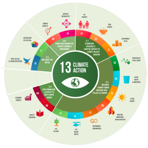 One Stop Development Agency SDG13